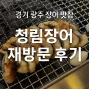 탄벌동-2 | 탄벌동 맛집 재방문 후기 청림장어, 역시 실패 없는 경기 광주 장어 맛집