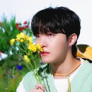 소우주 이미지