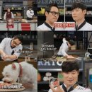 수성동물병원(일반동물병원) 이미지