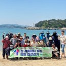 힐링 웹이코노미