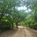 자동산책길 이미지