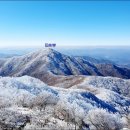 논실 Daum카페