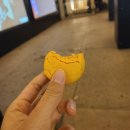 11500-5-22-07 | 07. 영프스이 20박 22일 유럽여행기 (0922, 파리, 7일차-2)