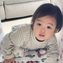 늘봄어린이집 | 늘봄북 실사병풍 리뷰｜아기병풍 고르는 법과 공간 활용 팁