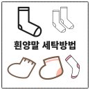 유미세탁 이미지
