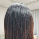 서정남로 이미지