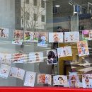 크라운독 이미지