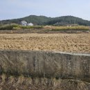 성심컨설팅공인중개사사무소 이미지