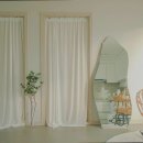 뚱새스테이