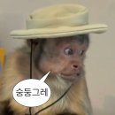 할렐루야기름집 이미지