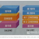 모노덴트 이미지