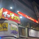 대구 경대 북문 맛집 산격동 '임가양꼬치'
