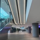 도그도그펫 | [마곡 코엑스] 펫박람회 후기 / 보석같은 도그웨어 브랜드 &#39;마일로&#39; 발견!
