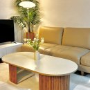 카페모네2호점 | [신촌 에어비앤비] 신촌역 도보 7분 | 넓은 투룸 | 감성 숙소 | 모네의 정원