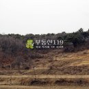 충남 논산시 은진면 시묘리 / 임야 야산, 가족묘터 휴양지용지 펜션용지 수목장부지 영림부지 납골당용지 / 2 이미지