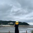 선학동주민센터 | 아침산책, 조식&amp;조식, 율포해수녹차센터, 오일장터실패, 선학동 유채마을의 메밀꽃풍경, 명사십리...