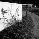 남산마을 이미지