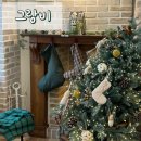 동매역 | 부산 동매역 크리스마스 분위기 브런치카페 : 그랑비