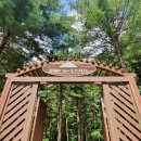 잣향기푸른숲 유아숲체험원 이미지