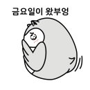 (주) 엠디캠퍼스 이미지