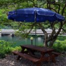 의령 청금정 이미지