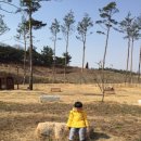 세븐일레븐 경산남산점 | 삼성현역사문화공원출정기~