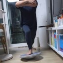 플립필라테스 | 홈트 코어운동 제대로하는 멜킨 밸런스보드와 필라테스링 사용 후기