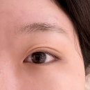 블라썸 | 서울대입구 자연스러운 속눈썹 연장 아이블라썸 후기