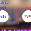 필연분식