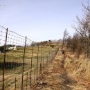 발해목장 이미지