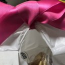 하마당 이미지