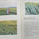 대월 - 부산진구 서면로 37-1 | 대월