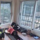 안동가을신선펜션 | 안동 대가족 펜션 3곳 : 가을신선, 팔공1945, 올웨이즈