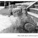 어느가을 오후 이미지