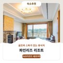 파인리즈리조트 | 속초 파인리즈 리조트 숙소상세 및 후기