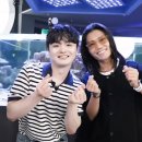 반딧불반찬 이미지