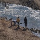 별빛 오토 캠핑장 이미지