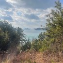 디 에이치 에스 이미지