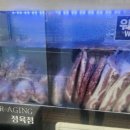 서울 식육점 이미지