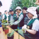 함양(대전) 이미지