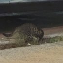 인천논현역 이미지