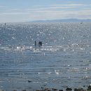 바다가 그리울때 이미지