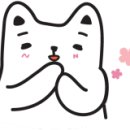 켄과콩나무 네이버블로그