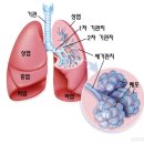 가온경영연구소