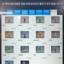 당당리본