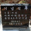 마리아회고등학교 이미지