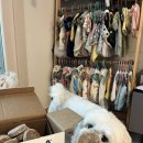 화식농장2 이미지