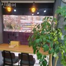 신헤어# 이미지