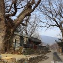 배순정려비 이미지