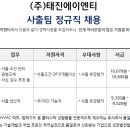 (주)태진에이엔티